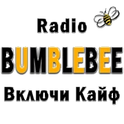 Радио Бамблби (BumbleBee)