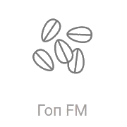 Радио Рекорд Гоп FM