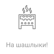 Радио Рекорд На шашлыки!