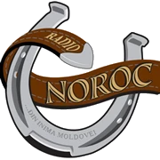 Radio Noroc